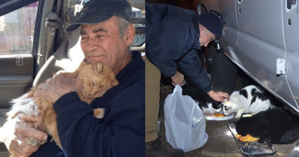 76 Year Old Man Has Collected Scrap Metal To Feed Stray Cats Every Single Day For 22 Years