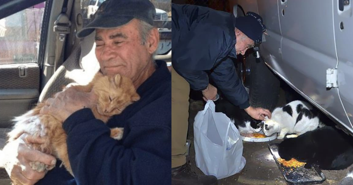 76-Year-Old Man Has Collected Scrap Metal To Feed Stray Cats Every Single Day For 22 Years