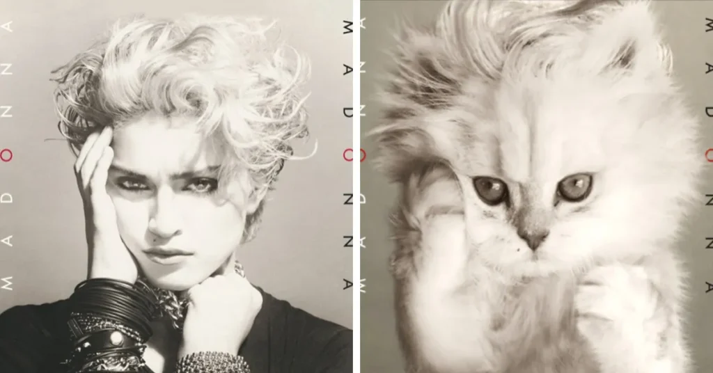 Artist Replaces Musicians With Cats In Popular Album Covers And The Result Is Purrfect