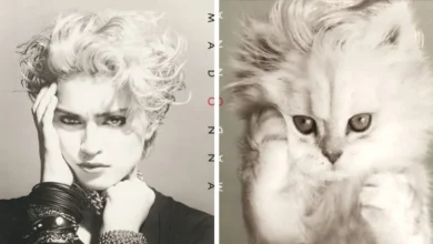 Artist Replaces Musicians With Cats In Popular Album Covers, And The Result Is Purrfect