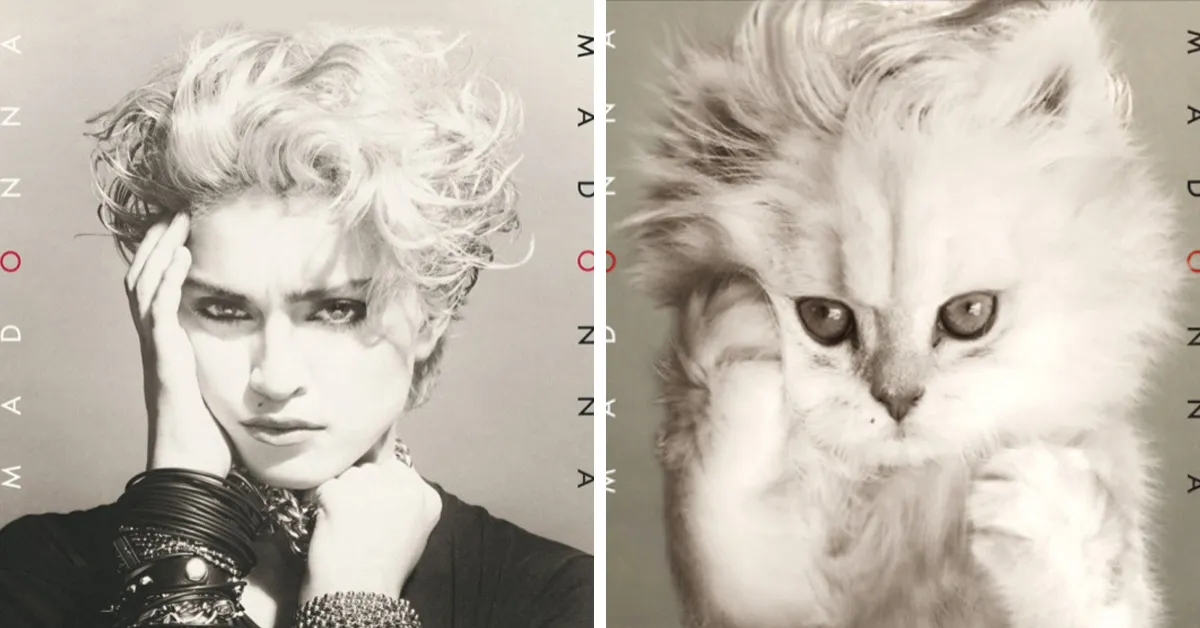 Artist Replaces Musicians With Cats In Popular Album Covers, And The Result Is Purrfect