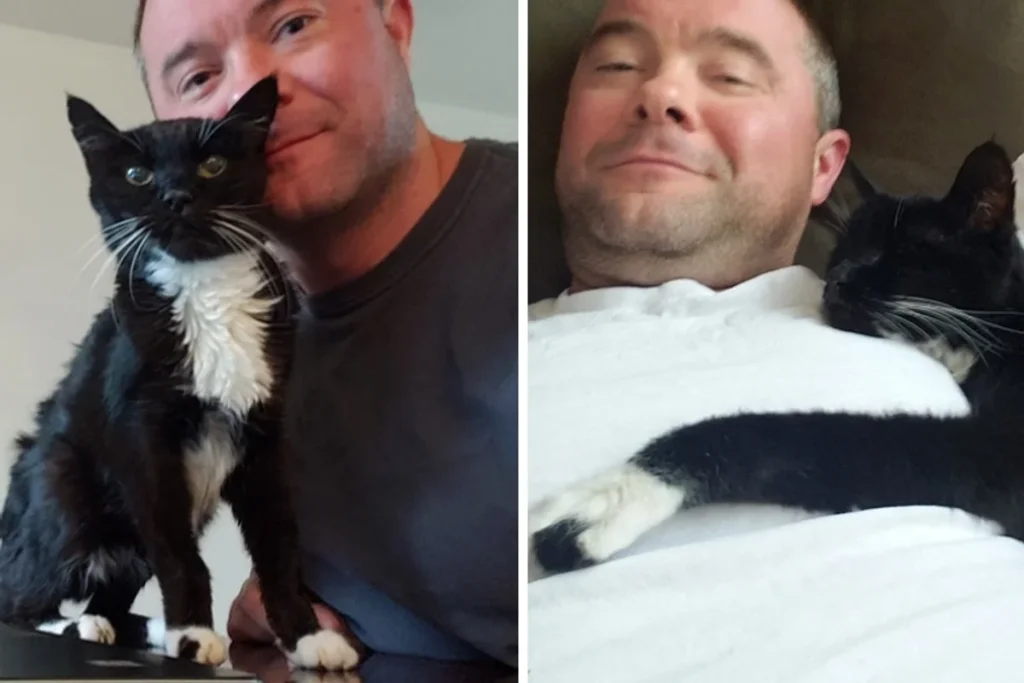 Cat Who Was 18 Years Old When He Asked Man To Take Him Home Now Turns 20