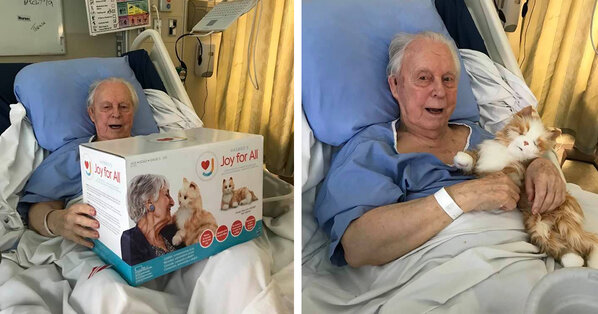 Family Gave Their Dad With Dementia A Robotic Cat Cause His Kitty Couldn’t Come To The Hospital