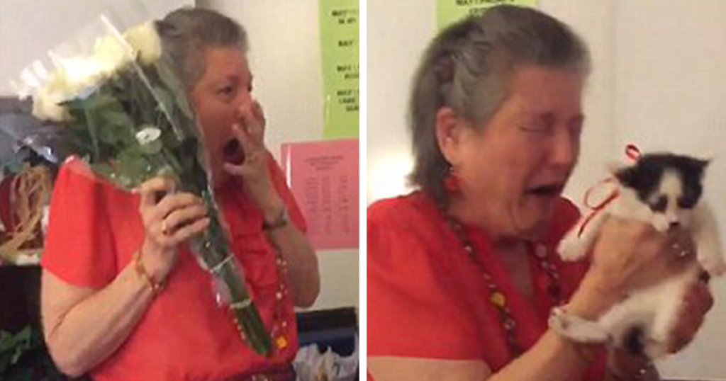Teacher Lost Her 16 Year Old Cat So Her Students Surprised Her With 2 Rescue Kittens