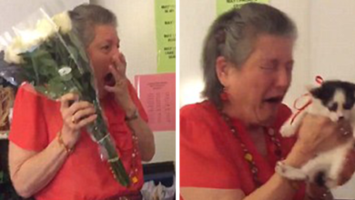 Teacher Lost Her 16-Year-Old Cat, So Her Students Surprised Her With 2 Rescue Kittens